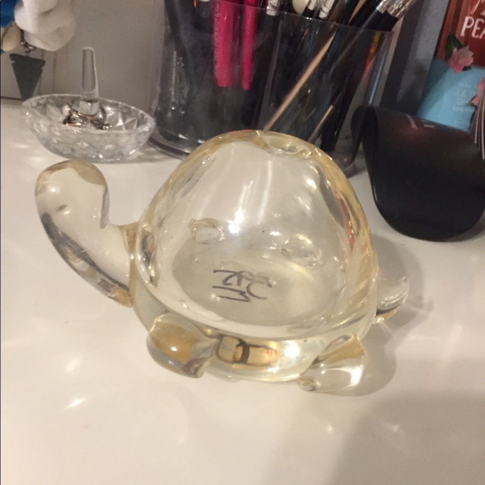 turtle glass thing - Picture 2 of 2